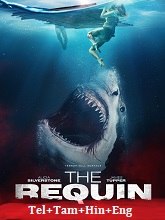 The Requin